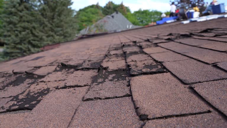 Reliable Upper Sandusky, OH Roofing Service Solutions